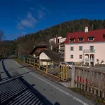 Apartment Guesthost - Antica Ferrovia Casa Storica Apartments Tarvisio Tarvisio